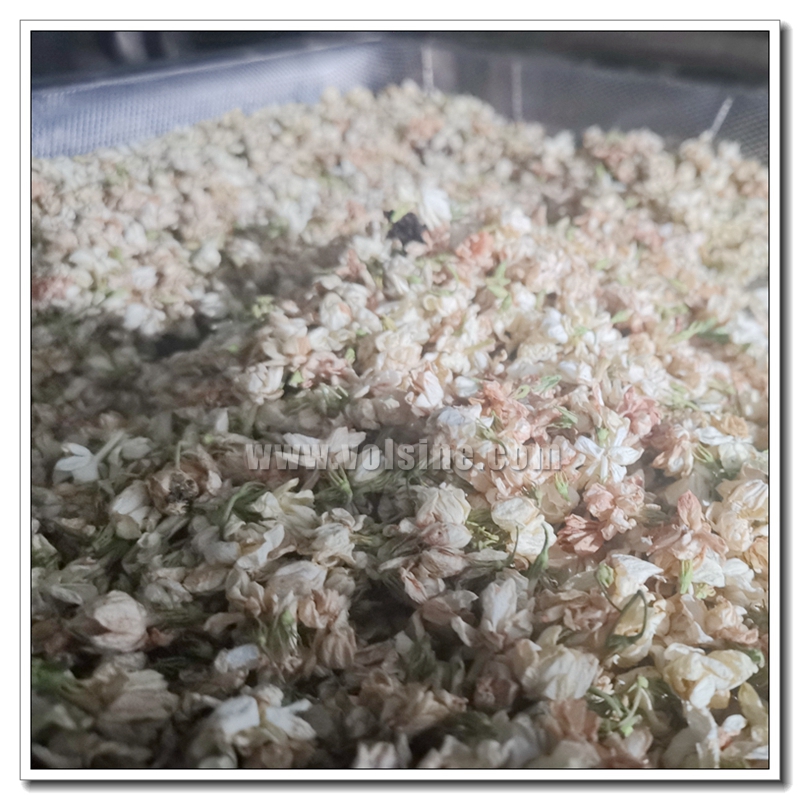 茉莉花细胞液提取机